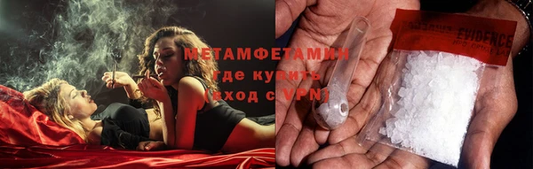 прущие грибы Волосово