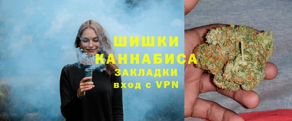 прущие грибы Волосово