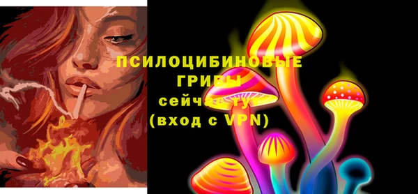 прущие грибы Волосово