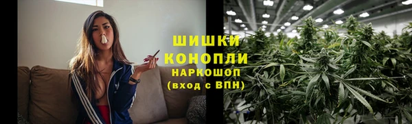 прущие грибы Волосово