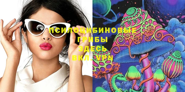 прущие грибы Волосово