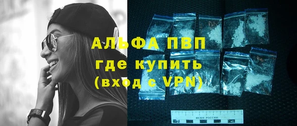 прущие грибы Волосово