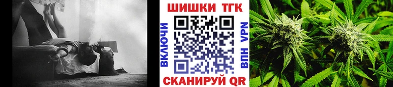 Бошки Шишки гибрид  Истра 